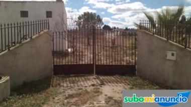 Casa con 11,000 m2 de oliveras en producci