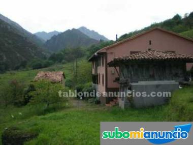 Casa, cuadras, horreos y 18000m2 de finca