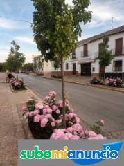 Casa solariega manchega con encanto venta