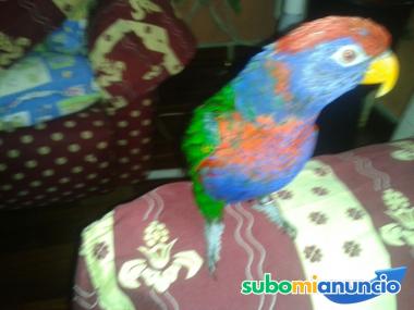 LOS 22 ARCANOS MAYORES DEL TAROT DE MARSELLA.